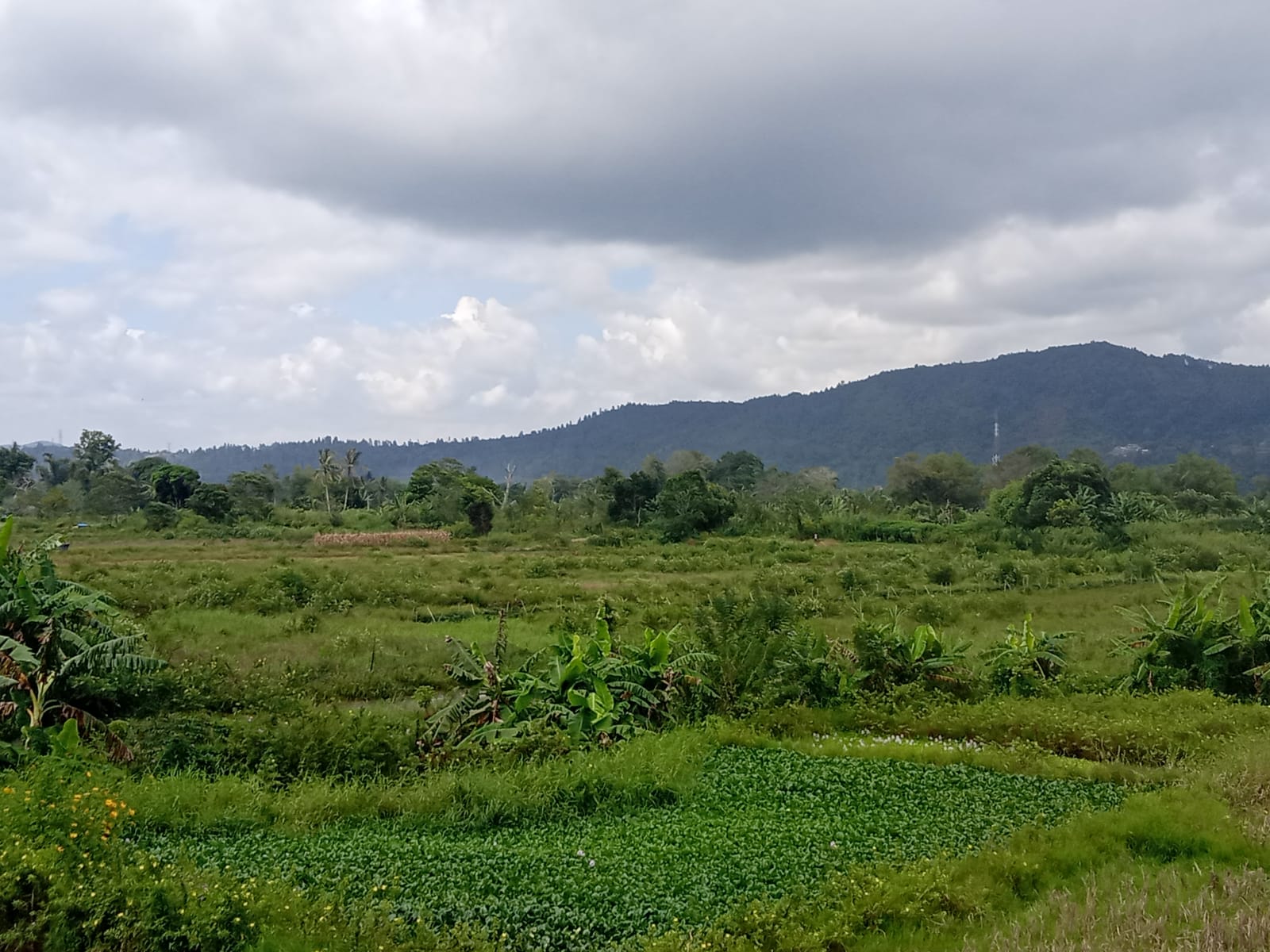 Pemprovsu Harus Dengarkan Keluhan Warga Taput