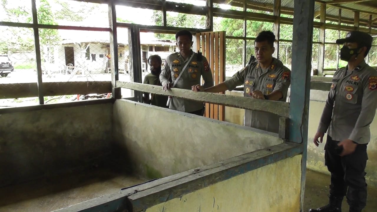 Binmas Noken Ops Damai Cartenz-2022 Lakukan Peninjauan Spot Ternak Babi di Yahukimo