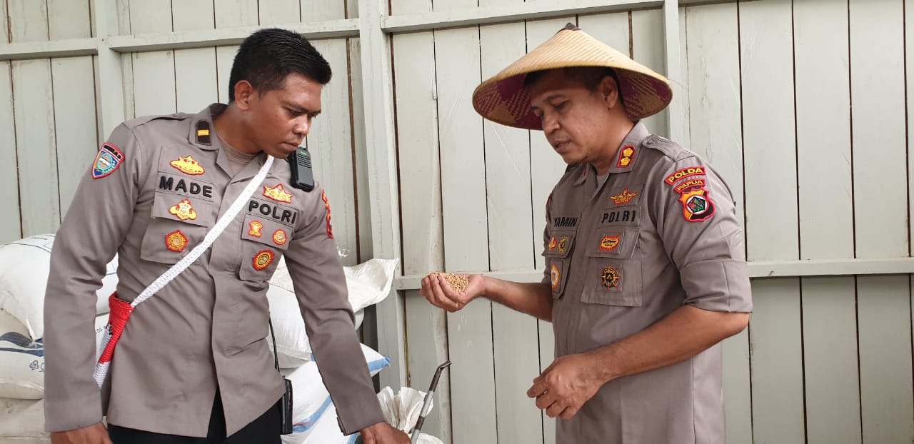 Wakasatgas Binmas Ops Damai Cartenz-2022 : Sektor Pertanian Yahukimo Memiliki Potensi Tingkatkan Kesejahteraan Masyarakat