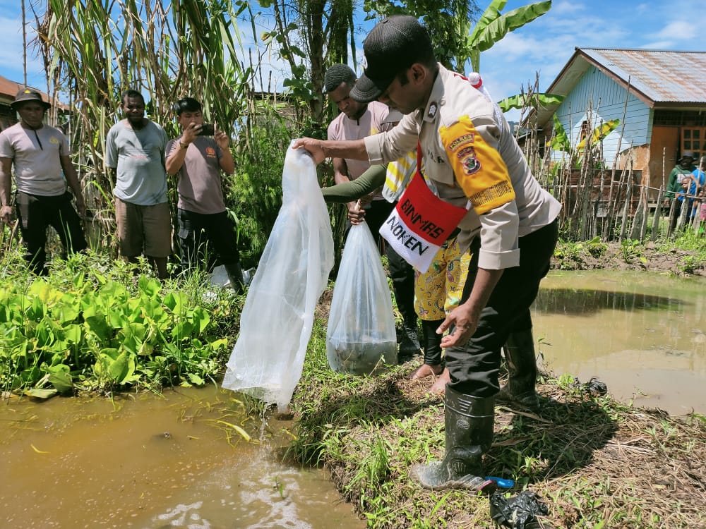 Sejahterakan Masyarakat Pegunungan Bintang, Satgas Binmas Bagikan 7.000 Ekor Bibit Ikan Mujair Kepada Masyarakat
