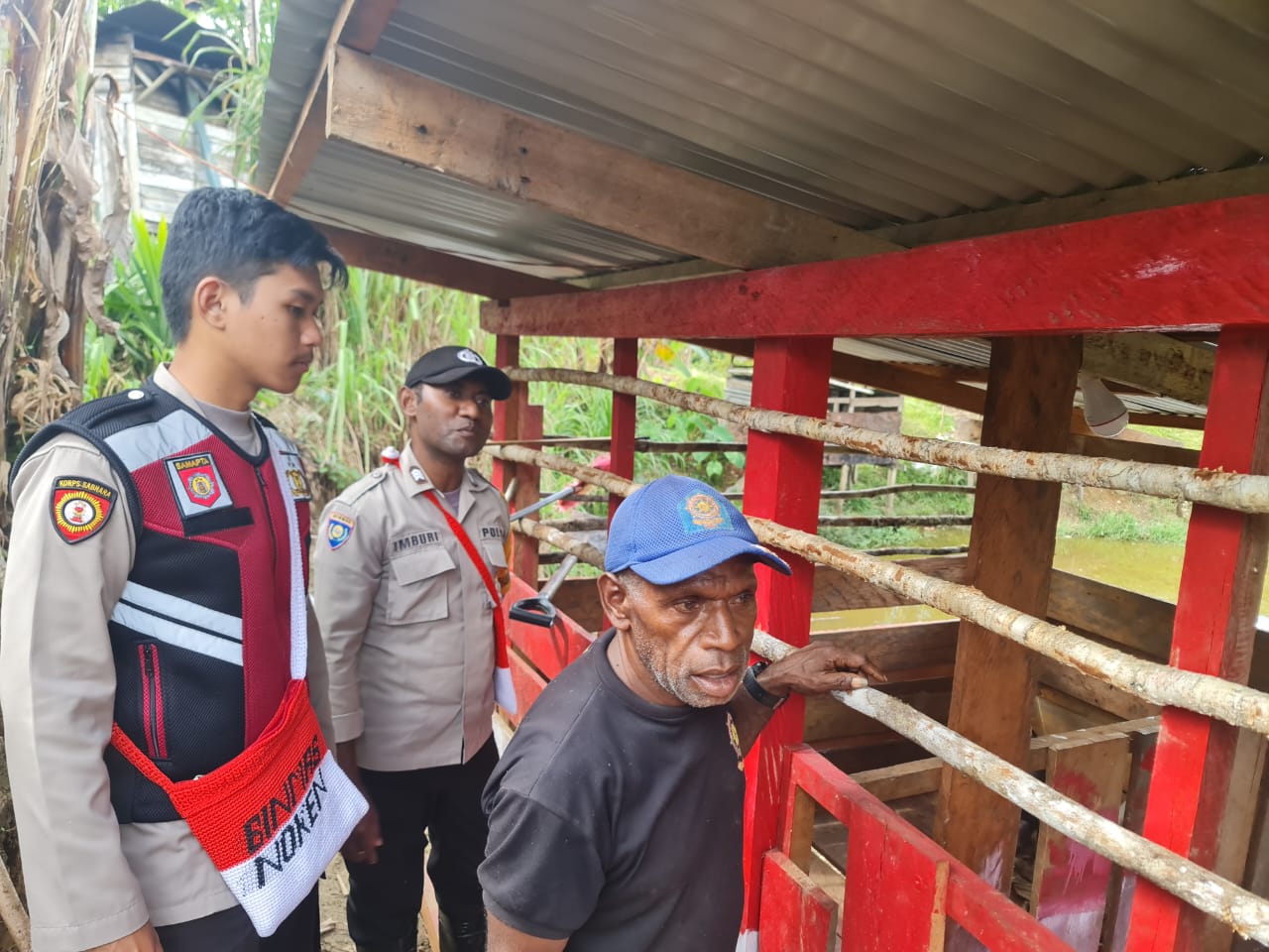 Pastikan Perkembangan Peternakan Babi, Satgas Binmas Noken Sambangi Peternak Binaannya