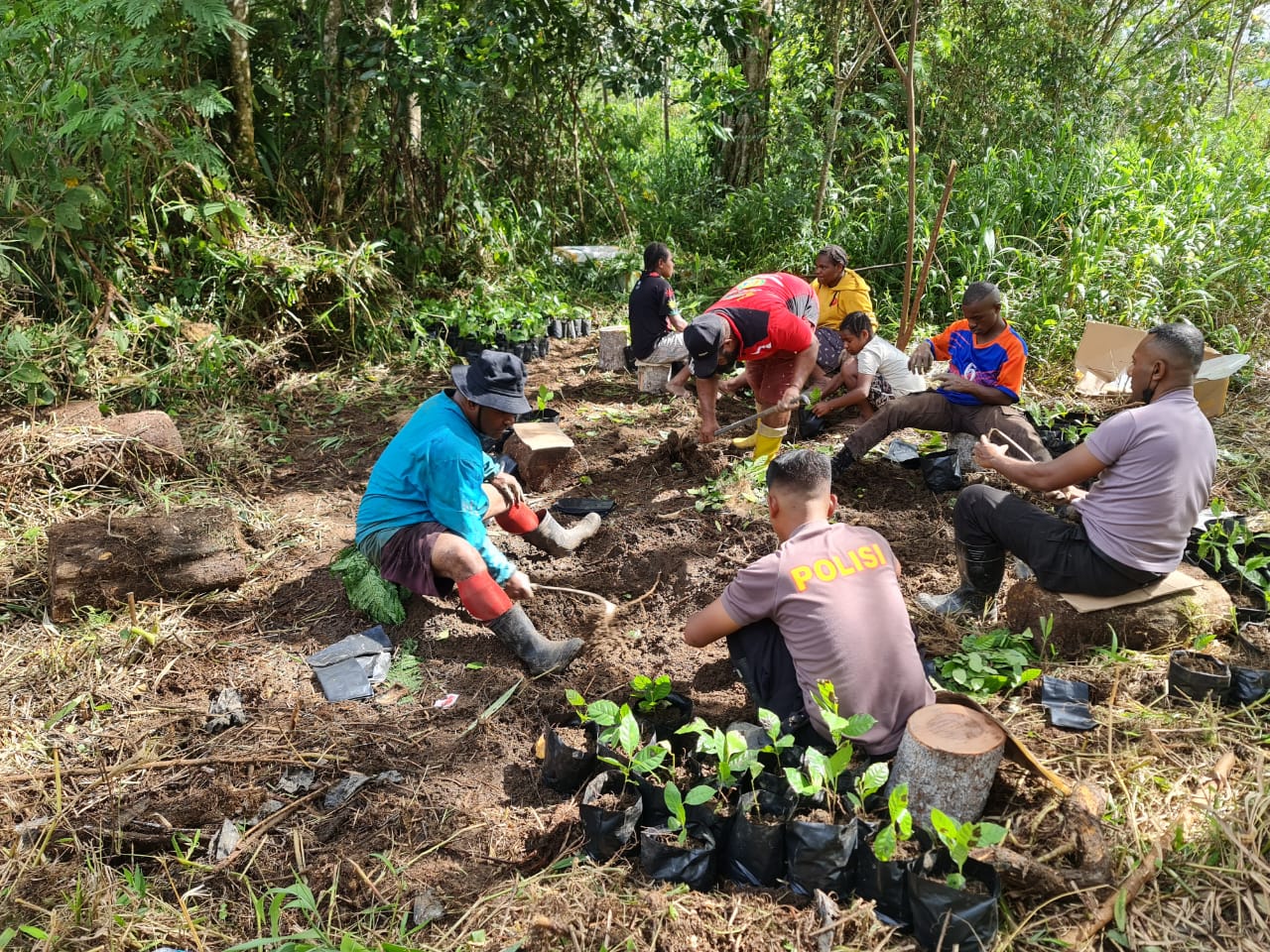 Binmas Noken Ops Damai Cartenz Kembali Bantu Warganya Dalam Menyemai Bibit Kopi