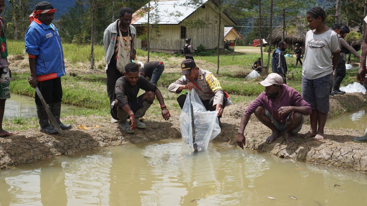 Binmas Noken Wilayah Puncak Bersama Satgas Preventif Laksanakan Pelepasan 5.000 Bibit Ikan