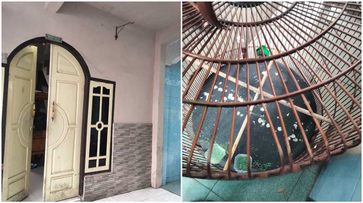 Pencuri Burung Kicau Mulai Berkeliaran