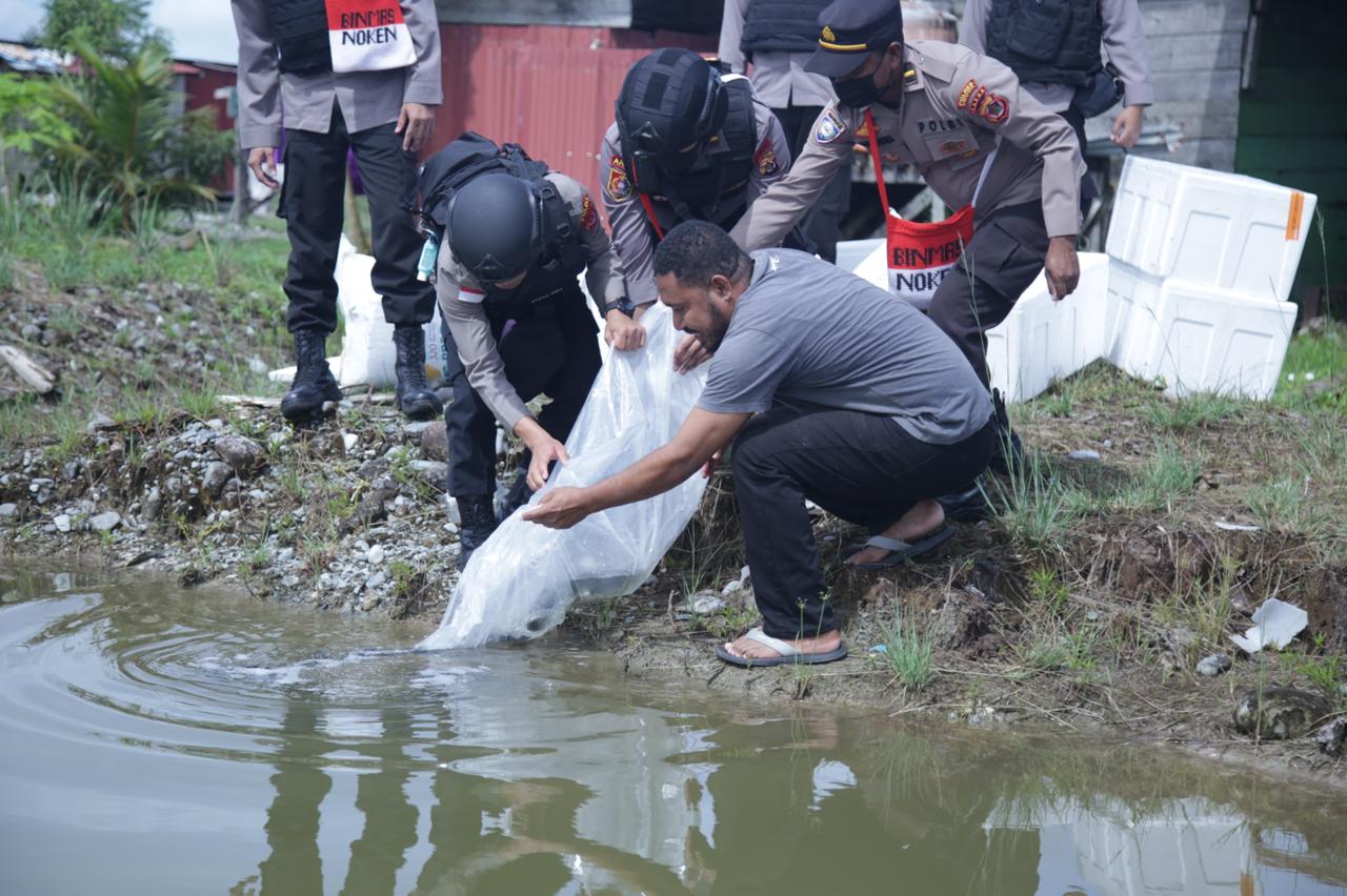 Wujud Nyata Kepedulian Polri, Satgas Binmas Bagikan 6.500 Ekor Bibit Ikan Mujair Kepada Masyarakat Di Nduga