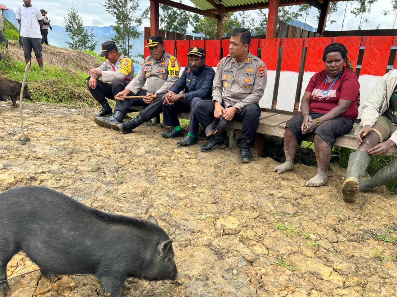 Kunjungi Spot Peternakan, Wakasatgas Binmas Noken Berikan Bibit Ternak Kepada Masyarakat