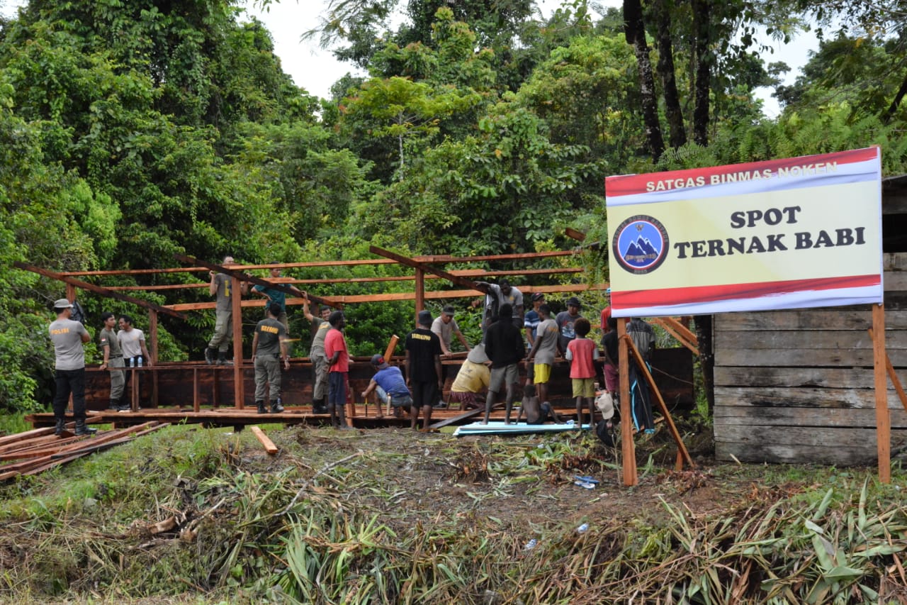 Ops Dartenz-2022 Bersama Masyarakat Bangun Kandang Ternak Babi di Yahukimo