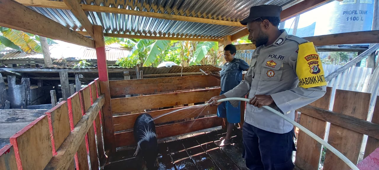 Kunjungi Spot Peternakan, Binmas Noken Bantu Bersihkan Kandang Ternak