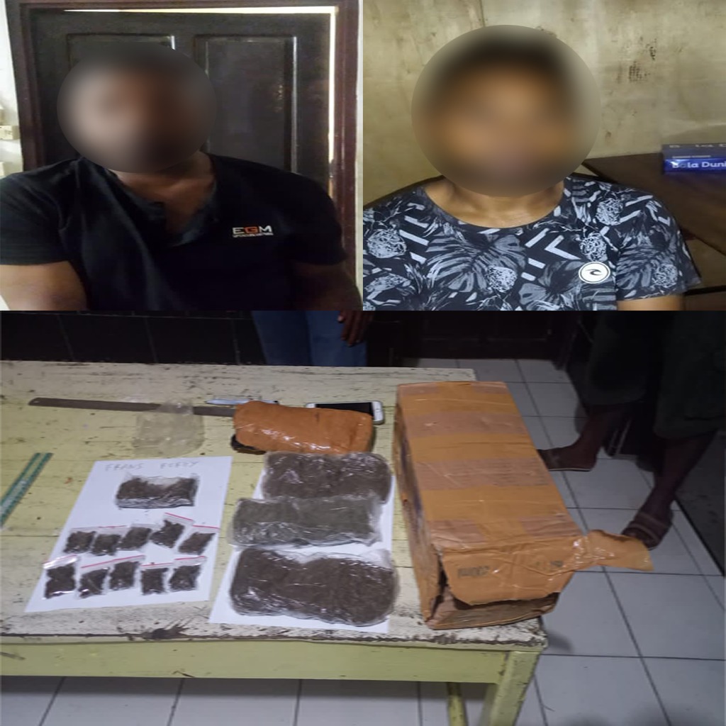 Polsek Mamberamo Tengah Tangkap Pengedar Dan Pemilik Narkotika Jenis Ganja