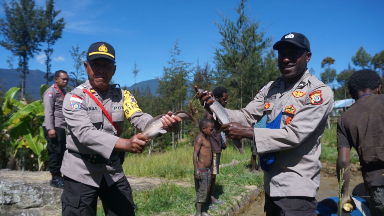 Perdana, Spot Perikanan Binaan Ops Damai Cartenz di Kabupten Puncak Berbuah Hasil