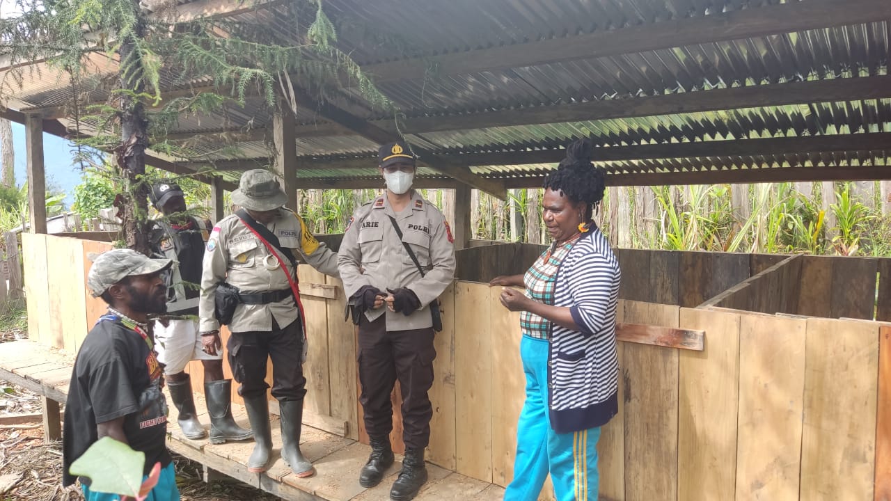 Binmas Noken Ops Damai Cartenz Intan Jaya Bantu Pembangunan Kandang Ternak Babi Warga Binaan