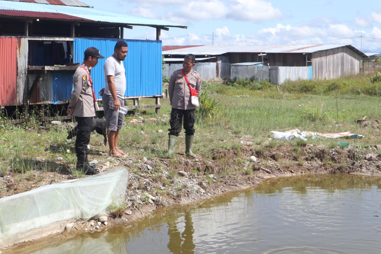 Sukseskan Program Kasuari, Binmas Noken Wilayah Nduga Lakukan Pengecekan Berkala Budi Daya Ikan Air Tawar Binaan