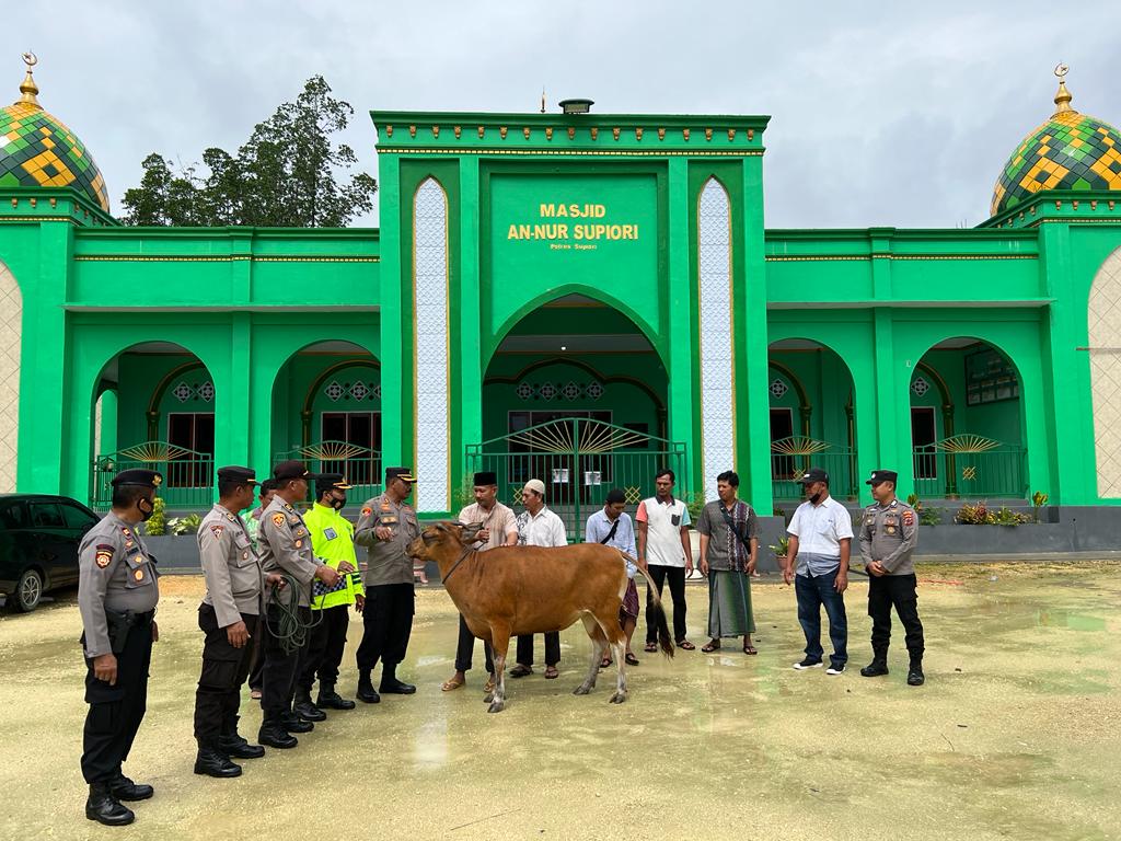 Kapolres Supiori Serahkan Sapi Qurban Ke Masjid Annur Kabupaten Supiori