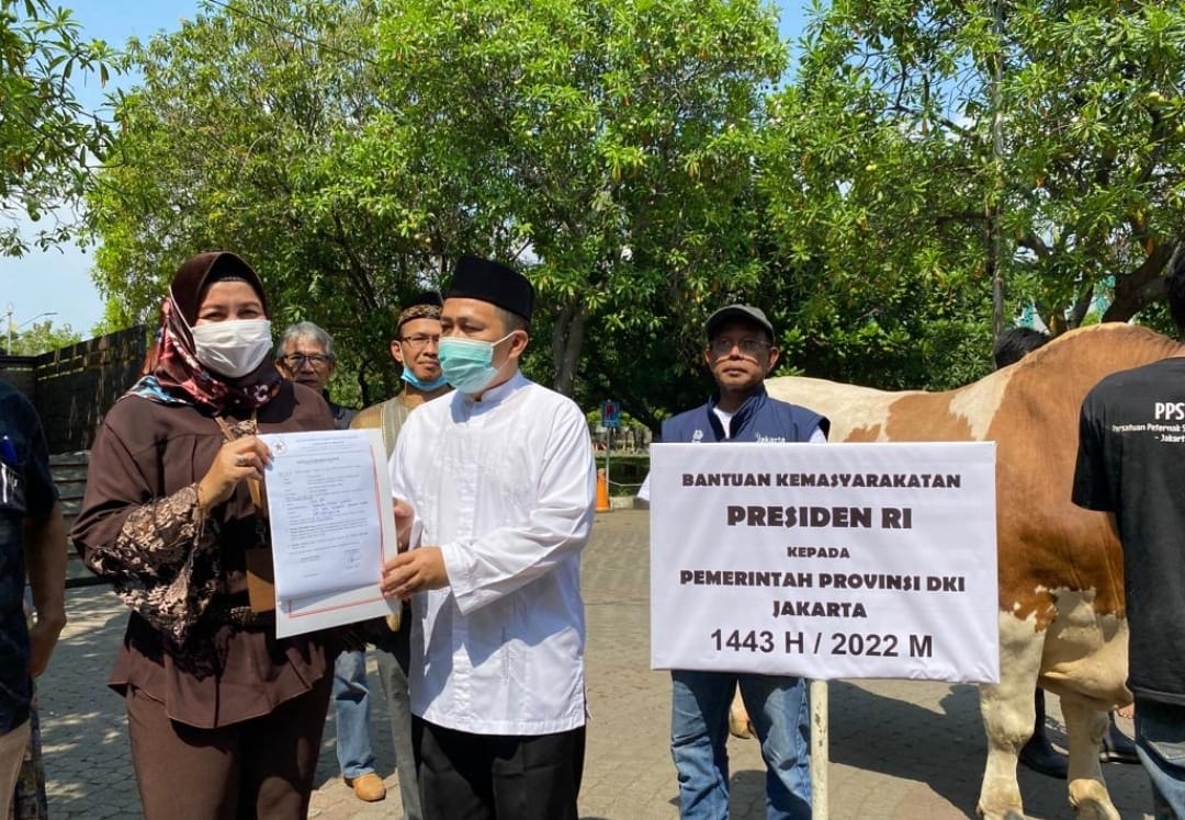 Presiden Jokowi Serahkan Sapi Berbobot 1 Ton ke JIC