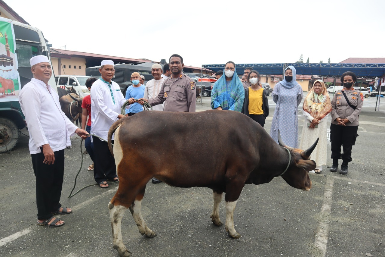 Kapolres Jayapura Serahkan 8 Ekor Sapi Qurban di Hari Raya Idul Adha