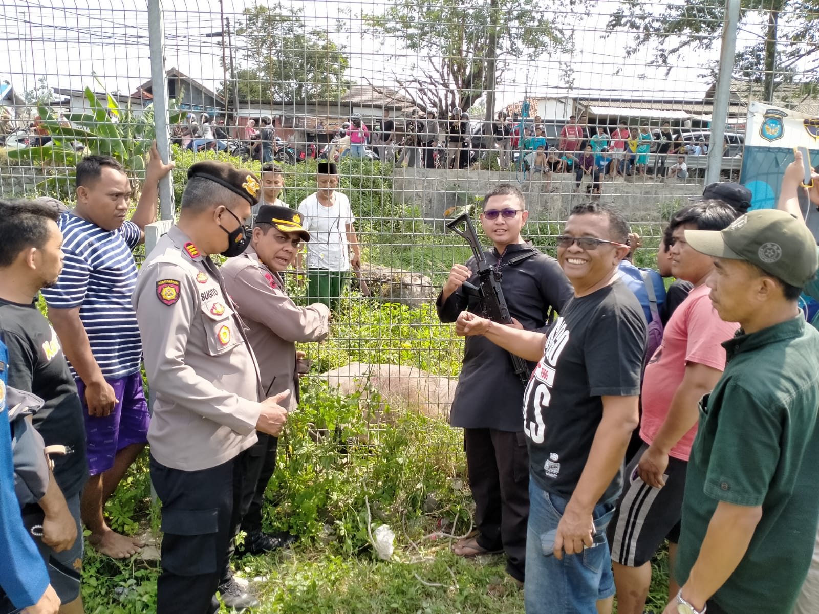 Kerbau Kurban Ngamuk Rusak Kendaran dan Lukai 2 Warga di Tangerang, Polisi Bertindak Cepat