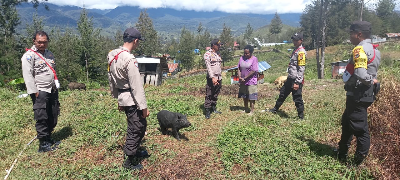 Pantau Perkembangan Ternak, Binmas Noken Rutin Lakukan Pengecekan Peternakan di Puncak