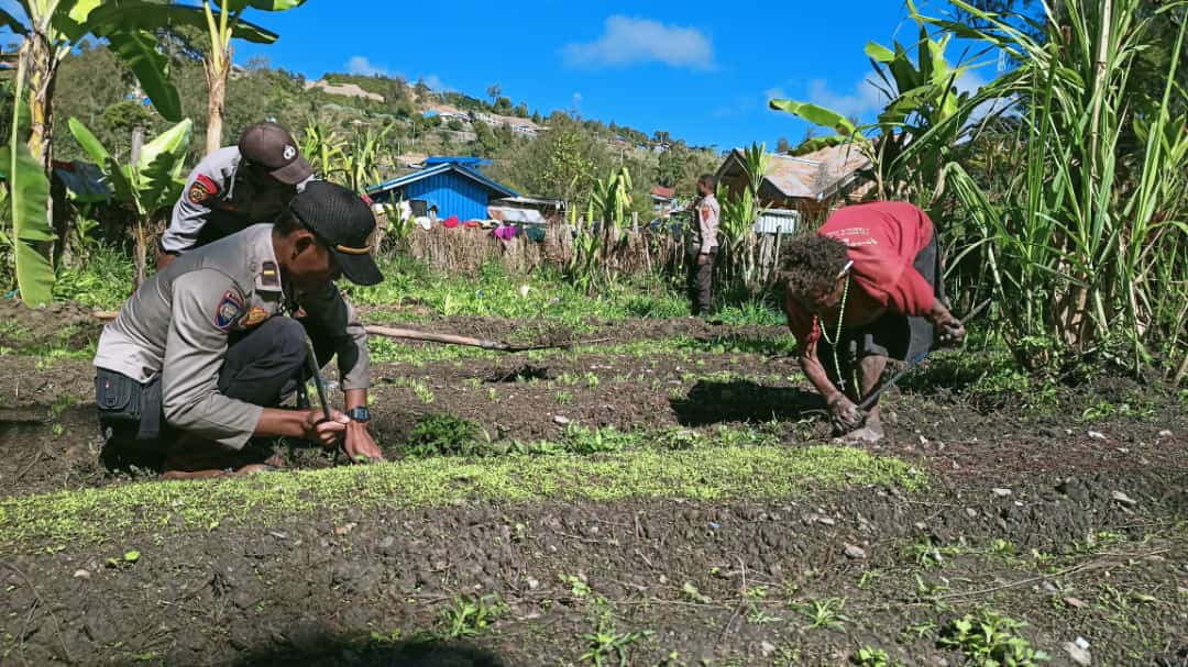 Tingkatkan Kesejahteraan Warga, Sat Binmas Intan Jaya Membuka Lahan Pertanian