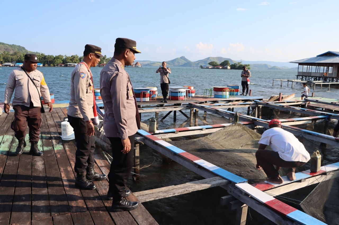 Siap Dukung Kongres Aman, Keramba Mujair Binaan Polres Jayapura Sukses Panen