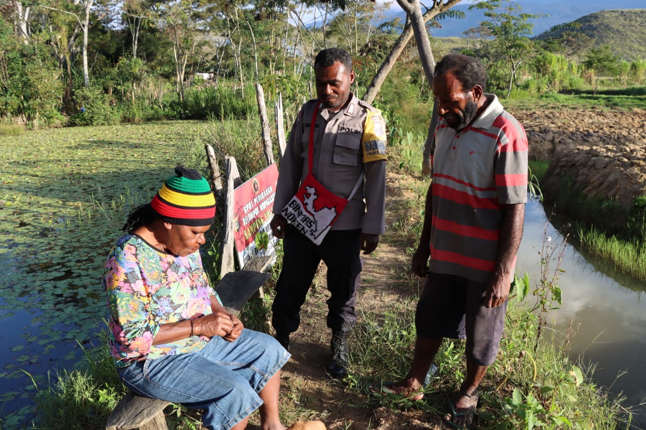 Terus Gencarkan Program KASUARI, Binmas Noken Jayawijaya lakukan Pengecekan Spot Pertenakan Babi, Kolam Ikan dan Perkebunan Sayuran Milik Bapak Benni Hubi