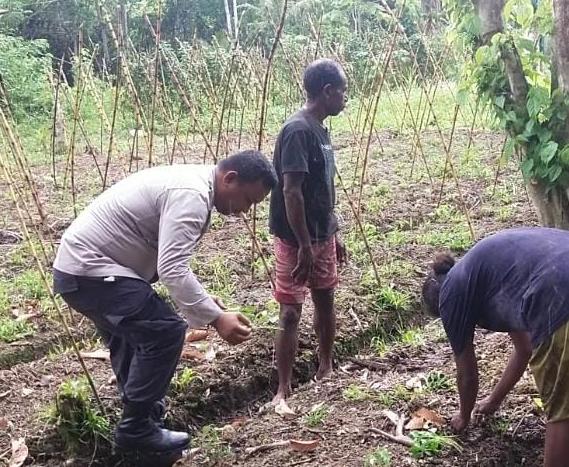 Mengisi Waktu Libur Bhabinkamtibmas Turun Bantu Petani Membersihkan Lahan Kebun