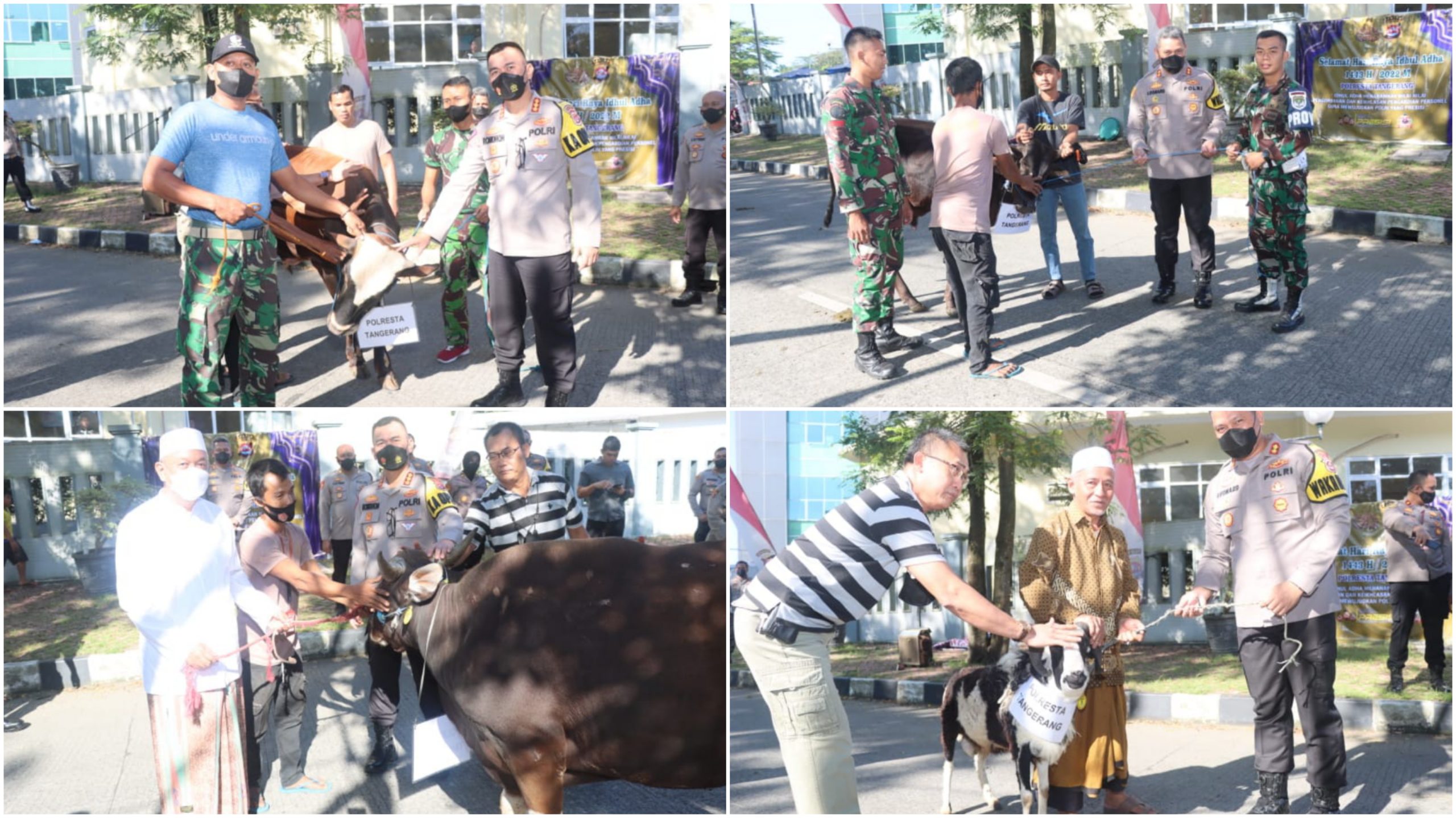 Kapolresta Tangerang Salurkan Bantuan Puluhan Hewan Kurban ke Ponpes, Mesjid, dan Alim Ulama