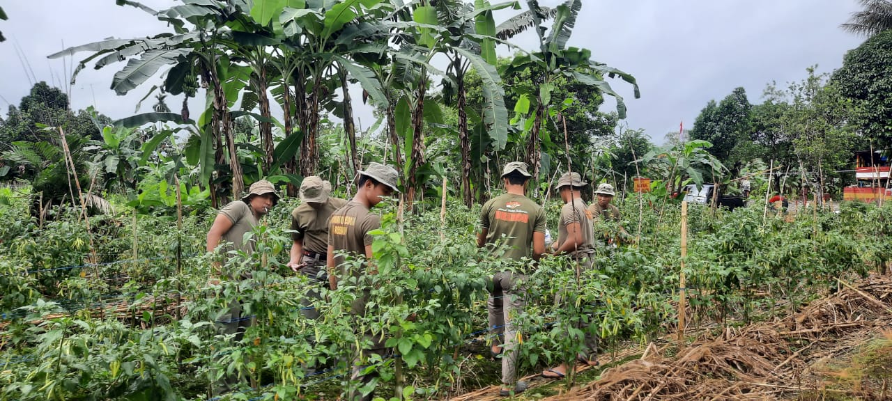Selain Memberi Keamanan, Satgas Preventif Yahukimo Berhasil Mengolah Kebun Menjadi Sumber Ketahanan Pangan