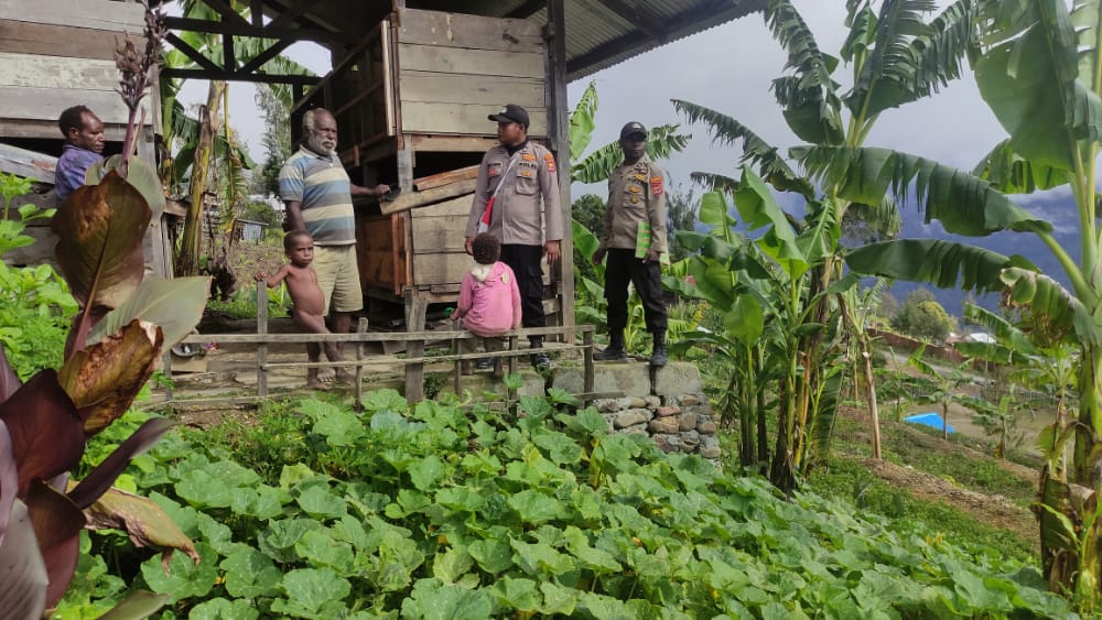 Demi Kesejahteraan Masyarakat Binmas Noken Tinjau Pertanian Milik Bapak Stevanus Belau