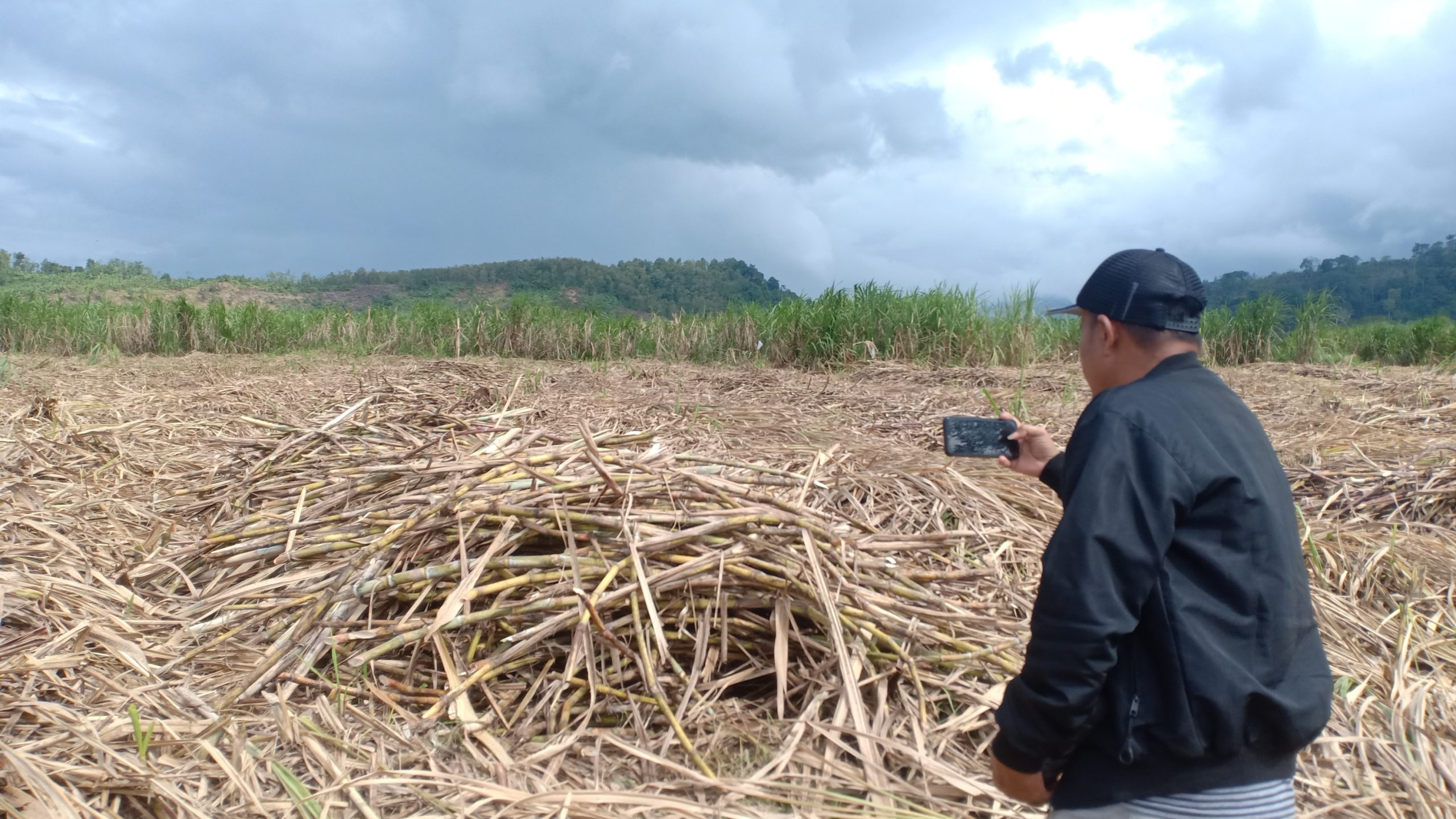 Tebu Tak Diangkut, Warga Sebut Management TMA PTPN XII Ceroboh Akibatkan Kerugian Negara