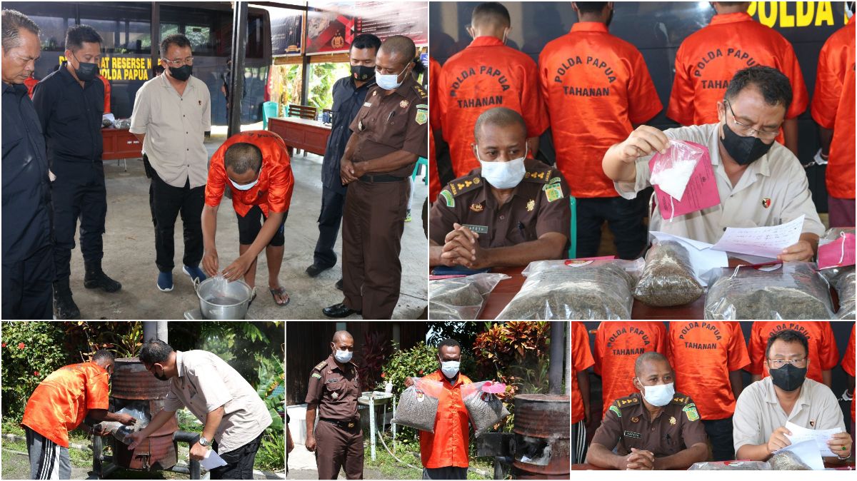 Dit Resnarkoba Polda Papua Musnahkan Barang Bukti Sabu dan Ganja