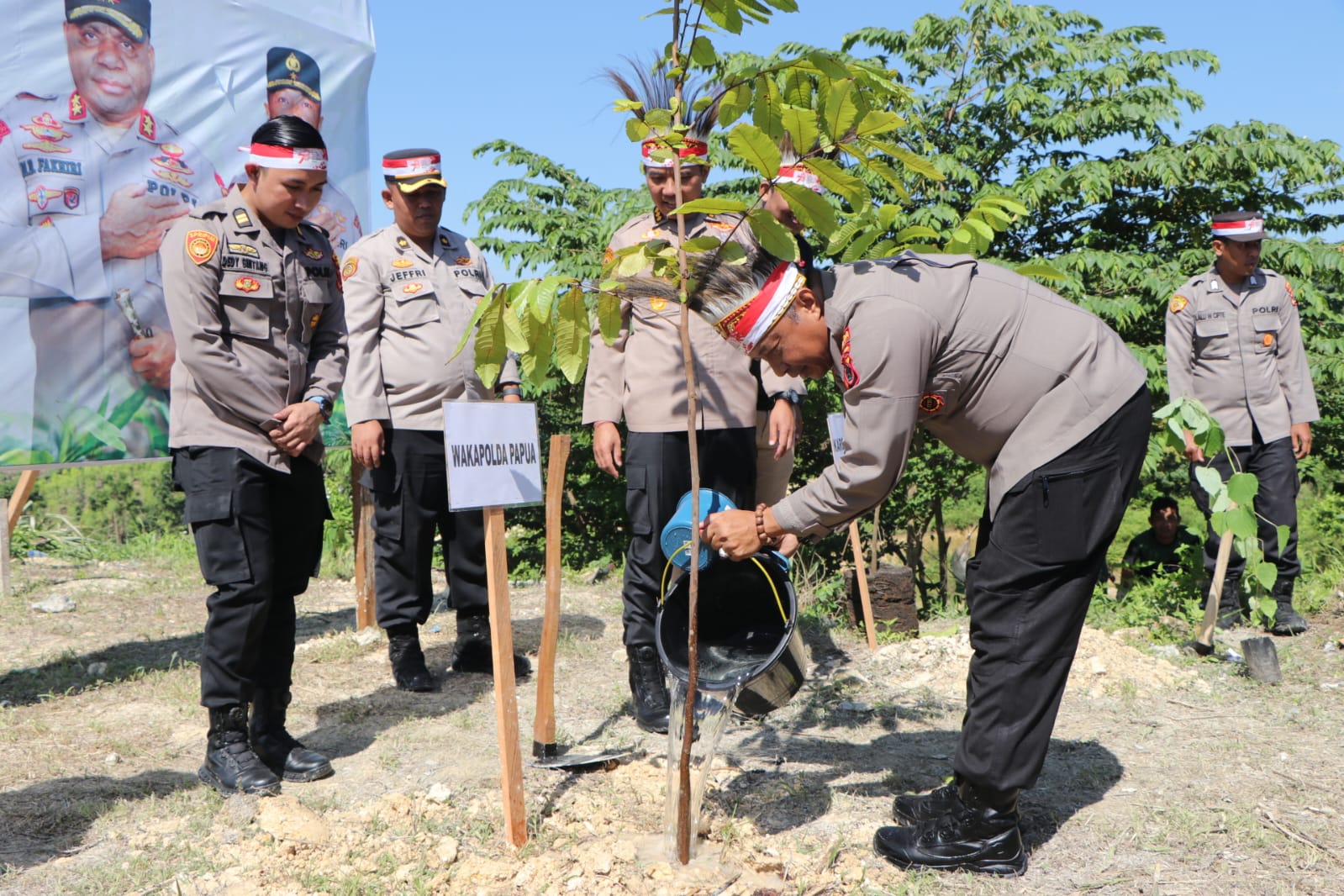 Wakapolda Papua Ajak Semua Pihak Bersinergi dalam Penanaman Bibit Pohon untuk Generasi Mendatang