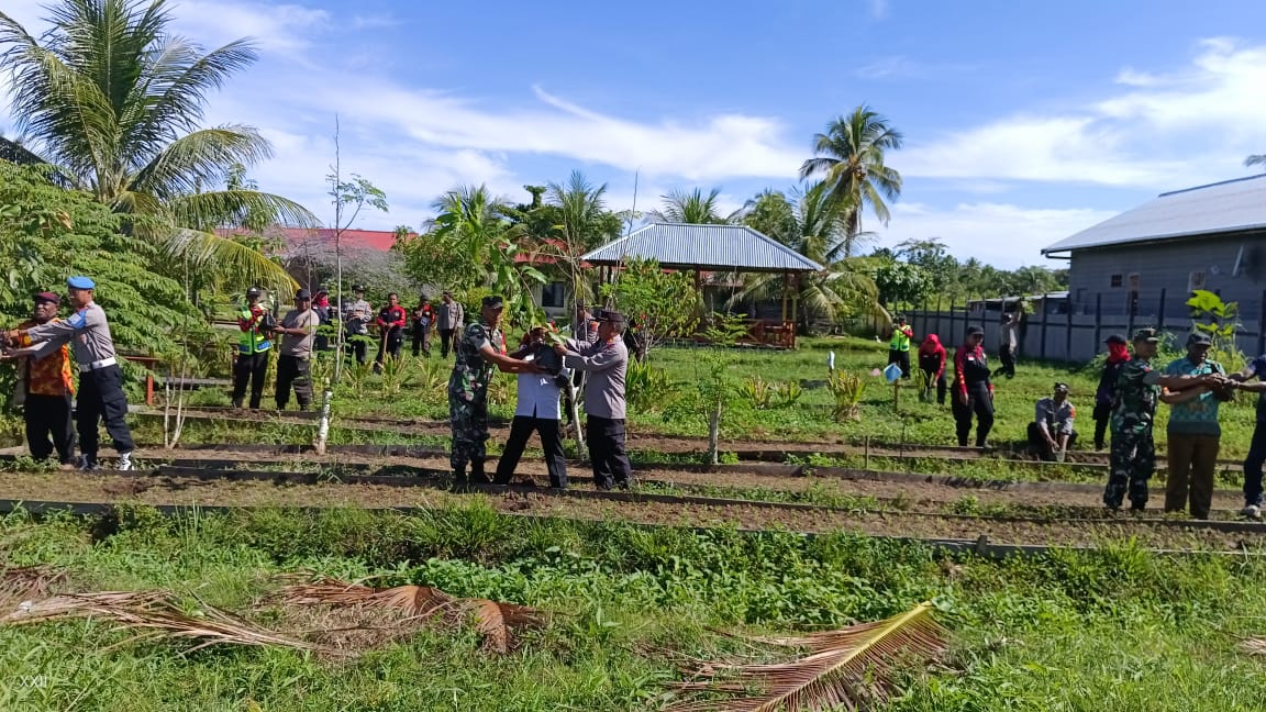 Kapolres Nabire Pimpin Aksi Penanaman 1.160 Pohon, Kontribusi Positif untuk Lingkungan Lebih Sehat