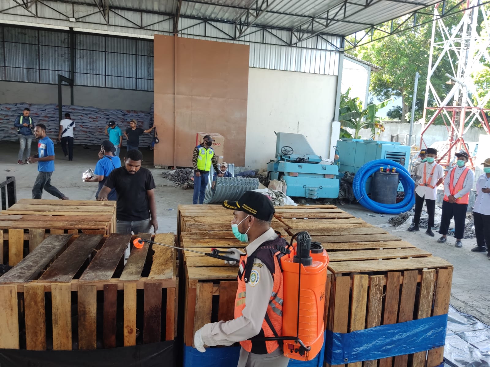 1000 Babi Sehat Hasil Pemeriksaan Karantina Pertanian Jayapura Tiba di Sorong