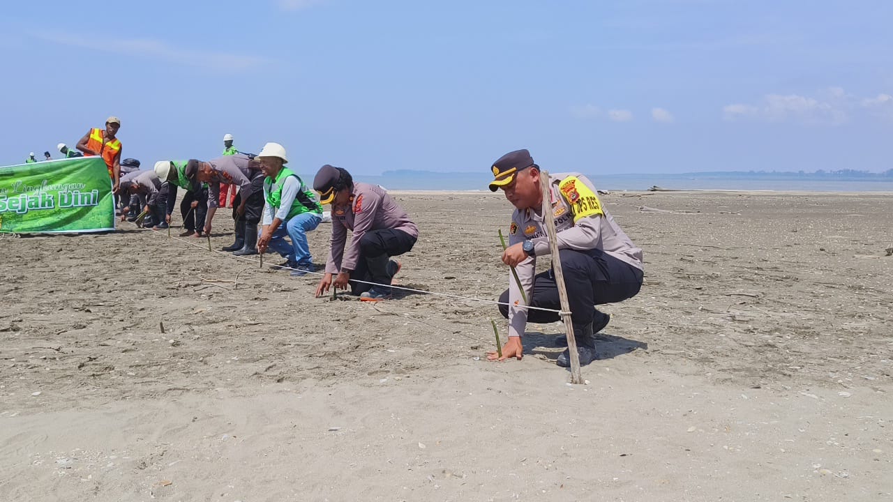 Peduli Lingkungan, Polres Mimika Lakkukan Aksi Tanam 1.000 Pohon Mangrove Serentak