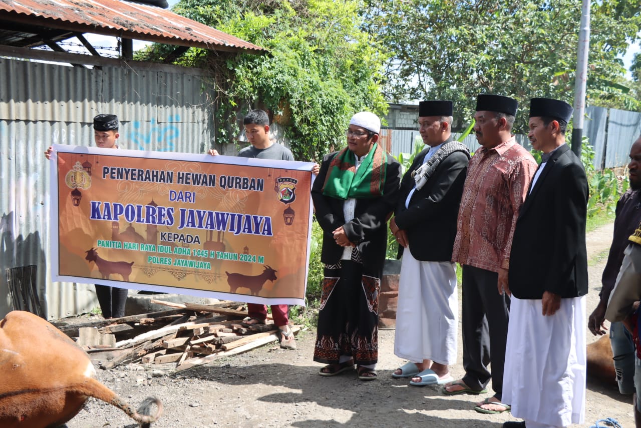 Kapolres Jayawijaya Serahkan Hewan Qurban di Hari Raya Idul Adha 1445 H
