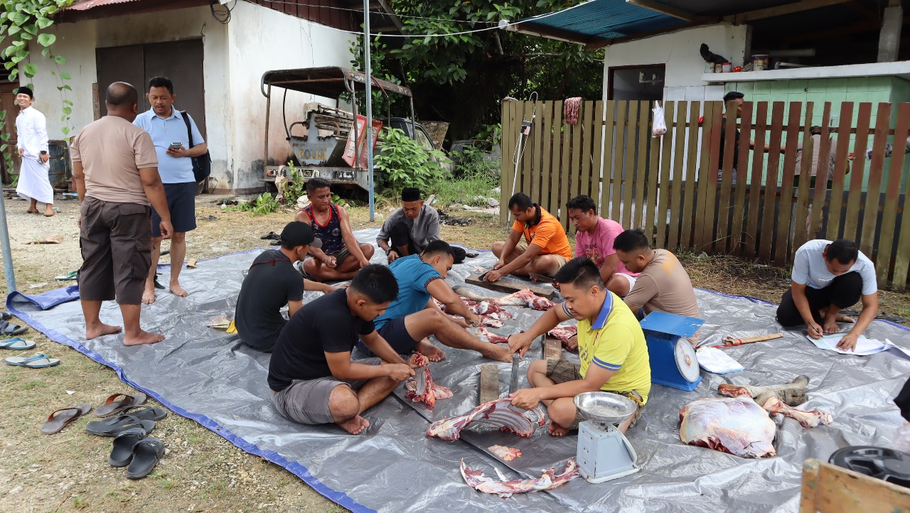 Kapolres Sarmi Pimpin Pemotongan Hewan Qurban dalam rangka Hari Raya Idul Adha 1445 H