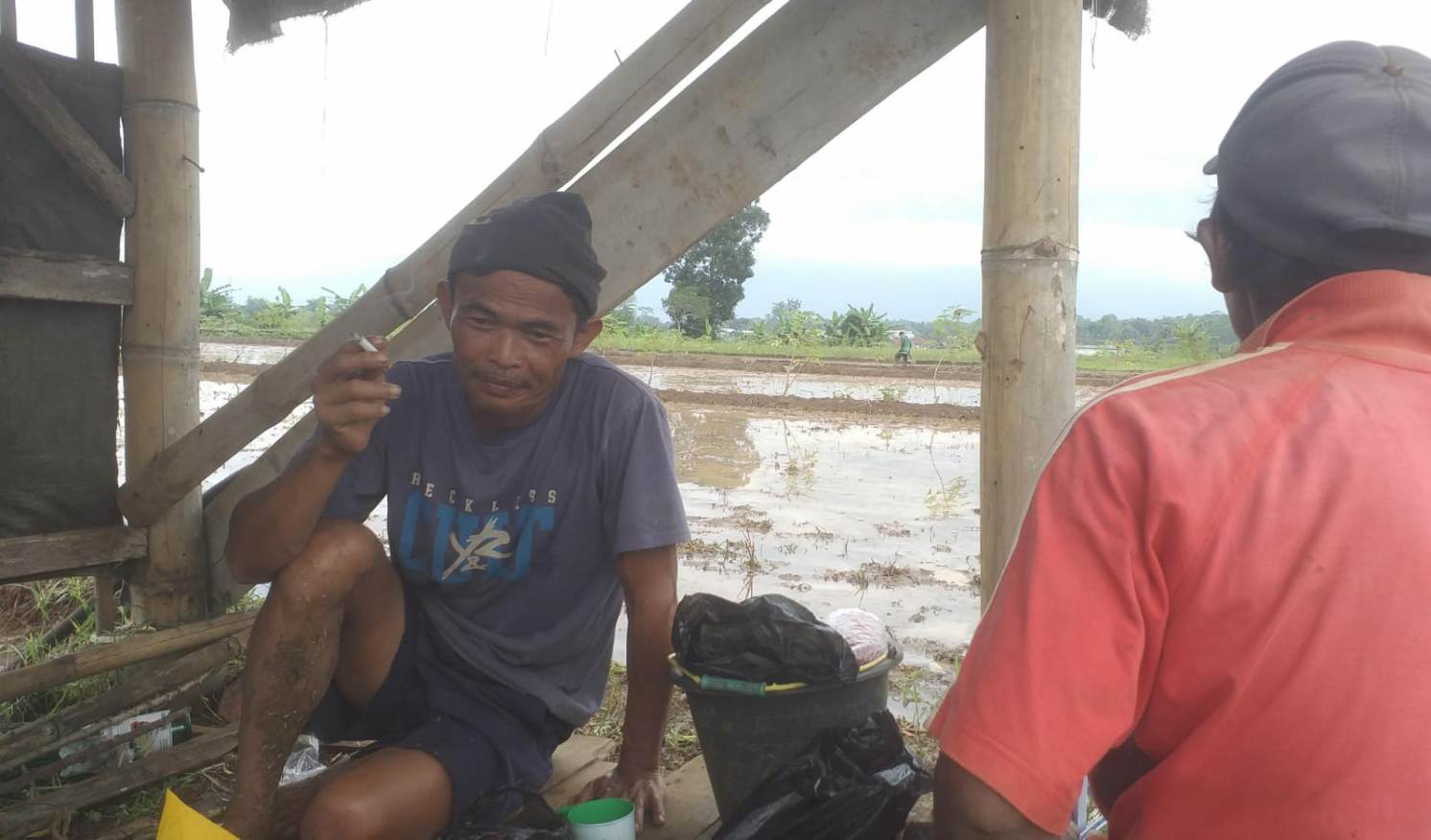 Dengan Datang Hujan Petani Sumringah Bisa Menggarap Sawah Hampir Kekeringan