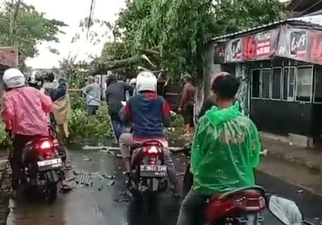 Hujan Lebat & Angin Kencang di Cisadap Ciamis Pohon Tumbang