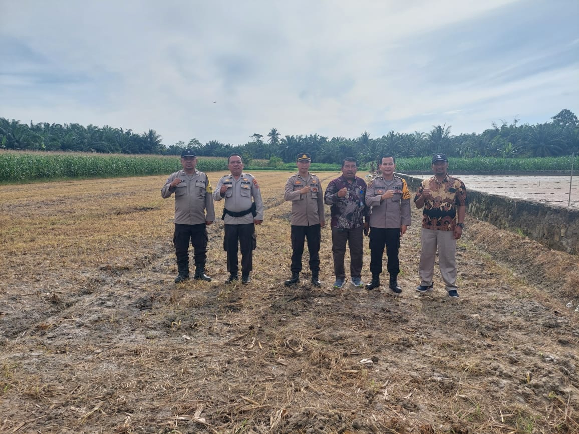 Polsek Tanah Jawa Dukung Program Ketahanan Pangan Melalui Optimalisasi Lahan Pertanian