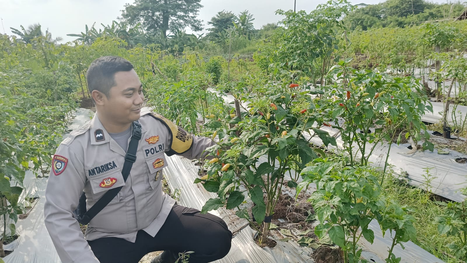 Aipda Antariksa SH, Bhabinkamtibmas Polsek Panongan Ajak Warga Dukung Ketahanan Pangan Nasional