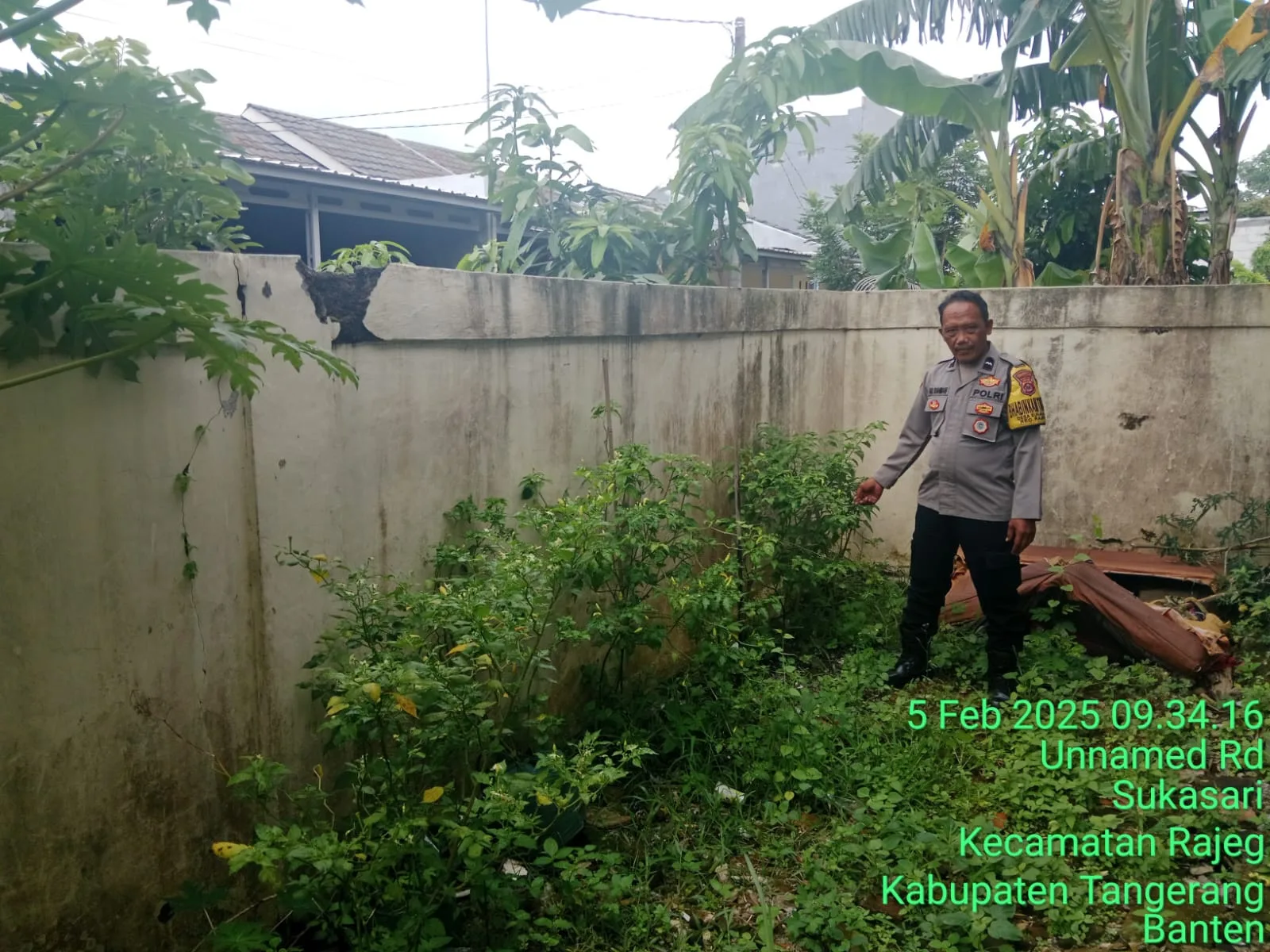 Dalam mendukung program Ketahanan Pangan Polsek Rajeg Polresta Tangerang Gelar Program Kapolda Banten Poliran dan Pendataan Pekarangan Lestari di Kampung Bolang Desa Sukasari Rajeg