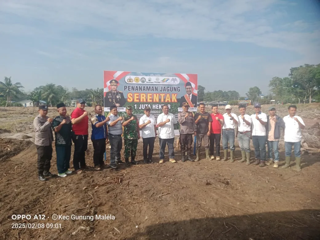 Batituud  Koramil 08/ Bangun, Hadiri Kegiatan Penanaman Jagung Serentak di PT. Sipef Bukit Maraja