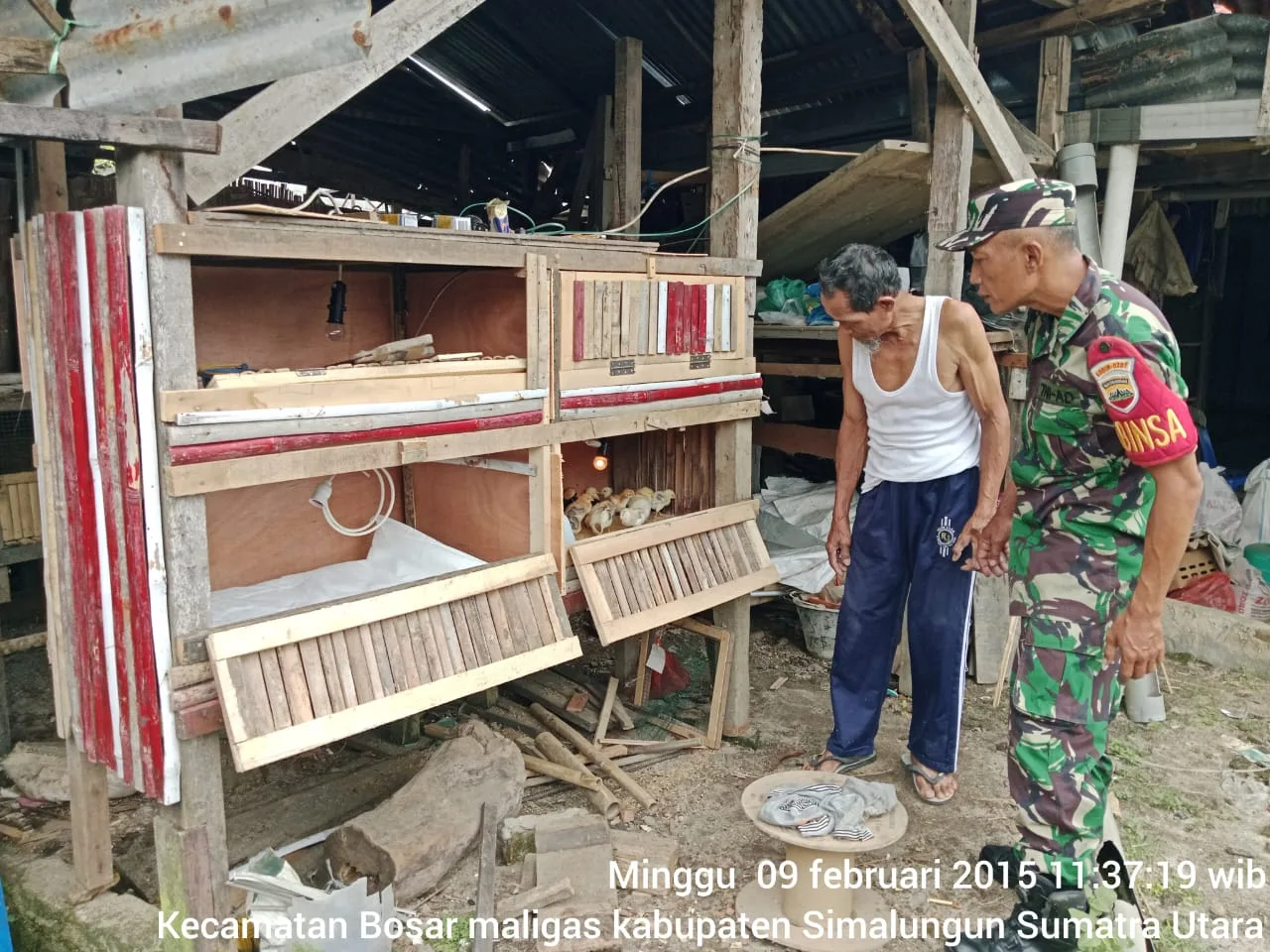 Babinsa Koramil 07/Bosar Maligas Dukung Warga Kembangkan Ternak Ayam Kampung & Jaga Lingkungan Sehat