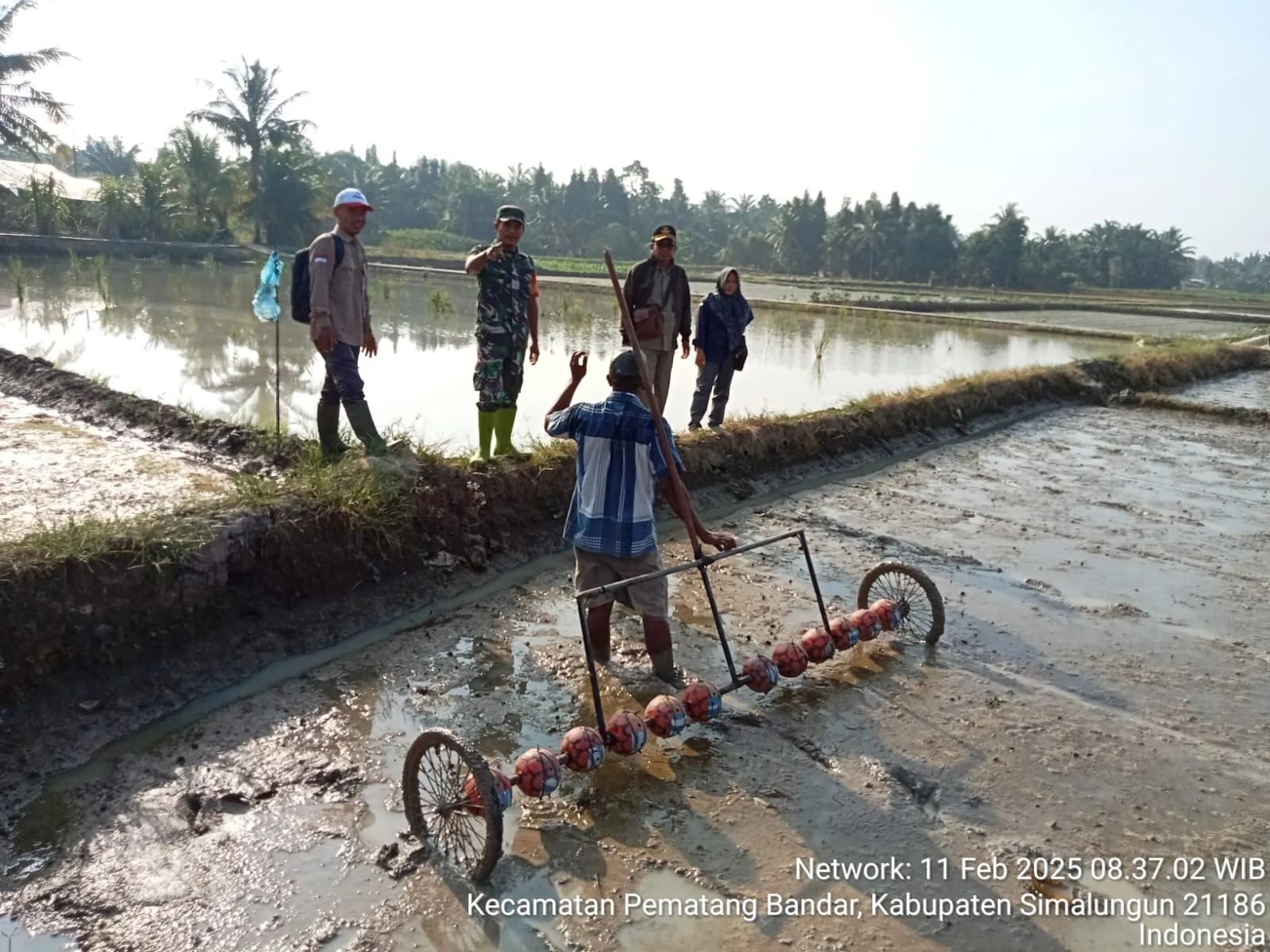 Babinsa Perdagangan dan Kordinator PPL Laksanakan Pendampingan Tanam Padi Pakai Bola-bola (Dipetek)