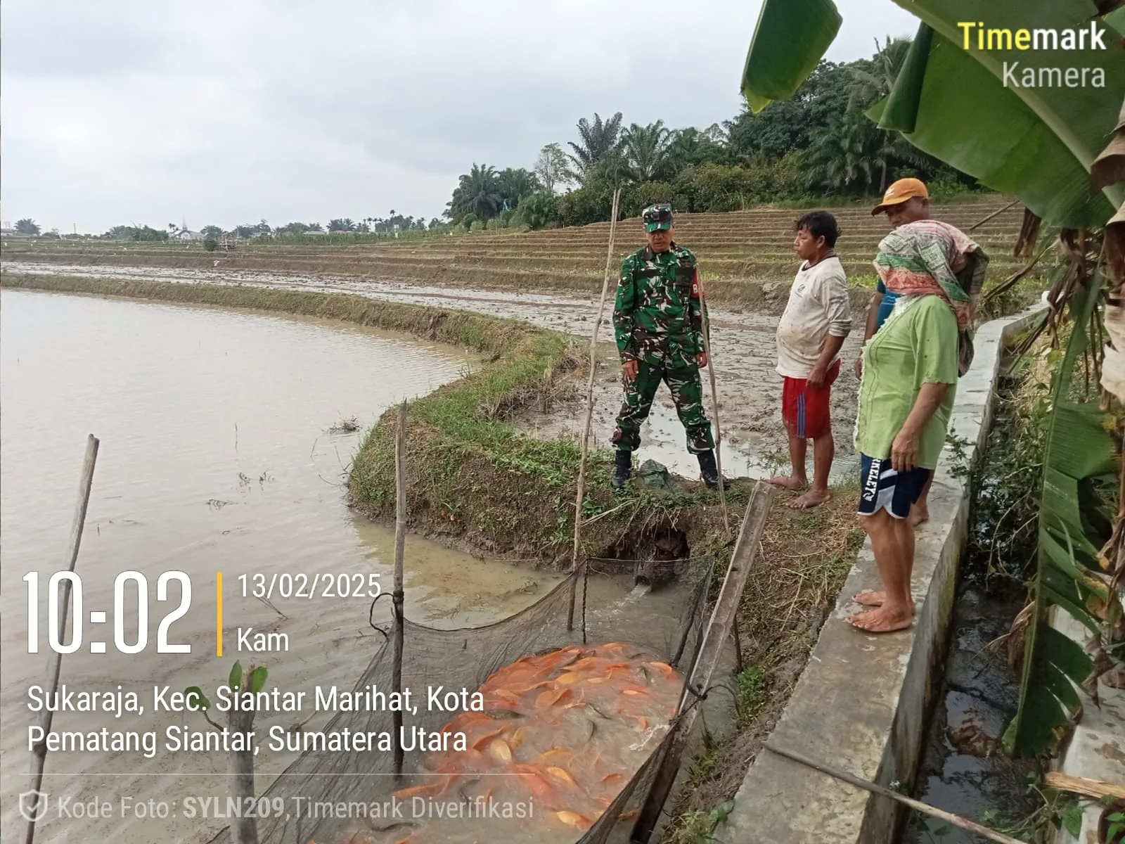Babinsa Siantar Selatan Komsos Kepada Peternak Ikan dalam Rangka Ketahanan Pangan
