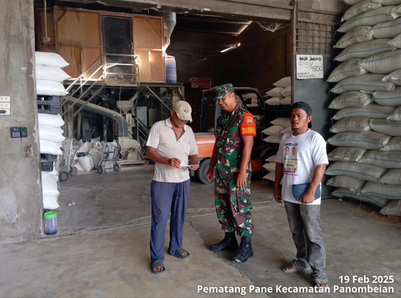 Babinsa Pane Tonga Komsos Bersama Pemilik UD Hendra Putri Kembar Tinjau Penyerapan Gabah/Beras yang Bekerja Sama dengan Bulog