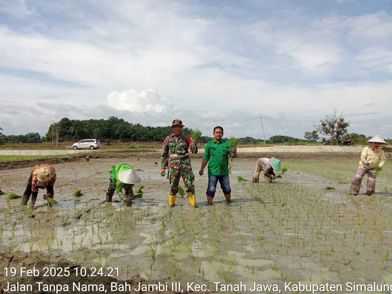 Babinsa Koramil 10/Tanah Jawa Dampingi Percepatan Tanam Padi di Nagori Baja Dolok