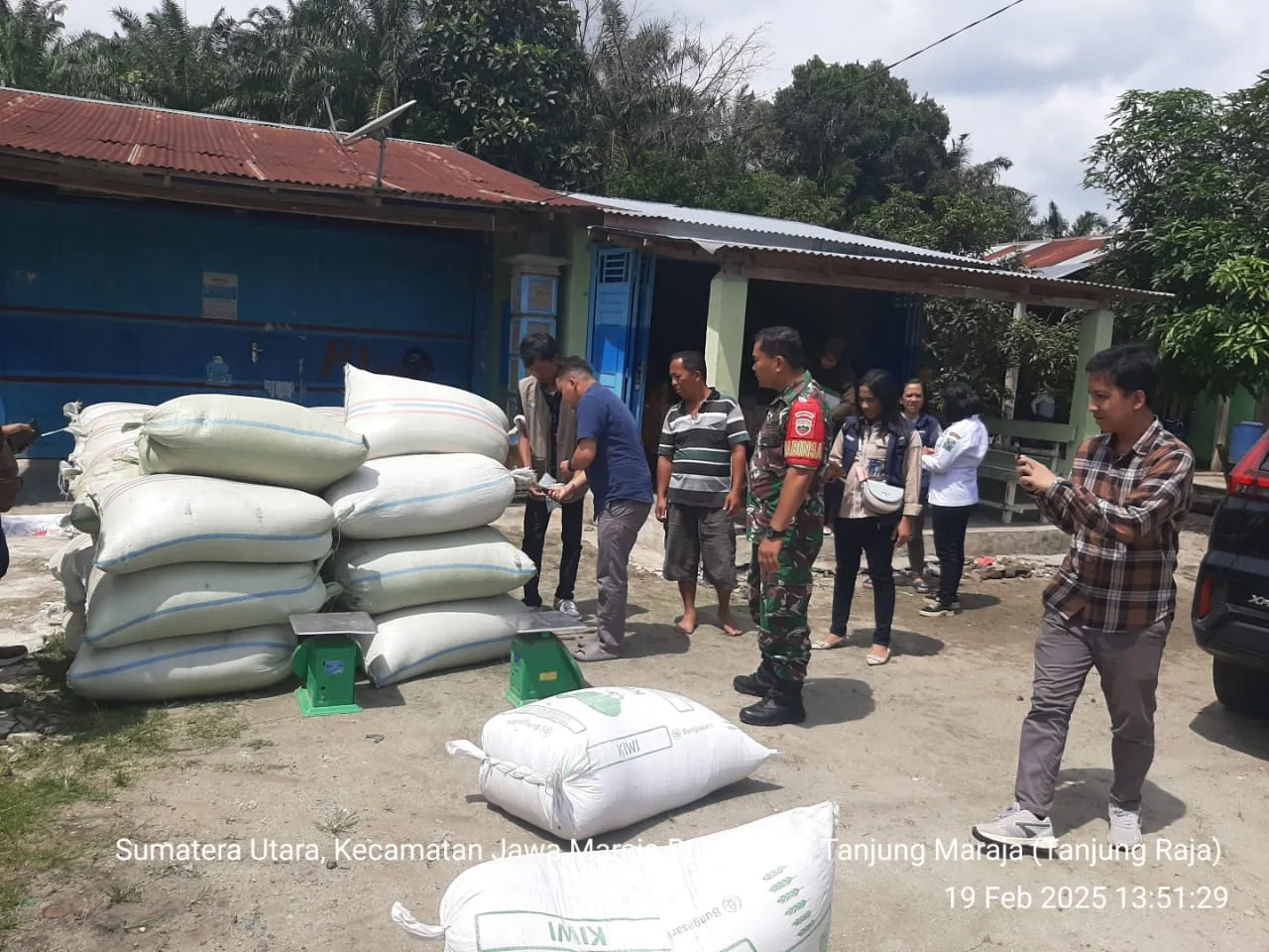 Babinsa Koramil 10/Tanah Jawa Dampingi Kelompok Tani, Dalam Rangka Penyerapan Gabah Hasil Panen