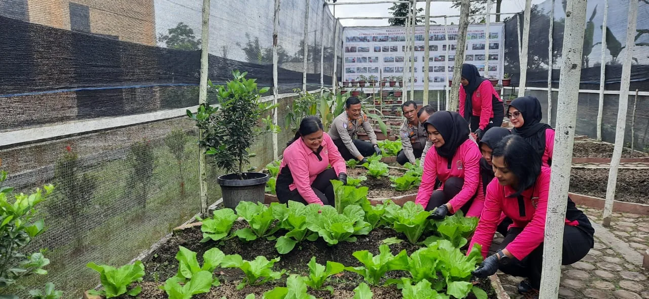 Bhayangkari Cabang Simalungun Luncurkan Program Pekarangan Pangan Lestari untuk Mendukung Ketahanan Pangan Nasional