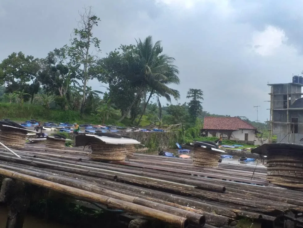 Musim Hujan Pengolahan Produksi Tepung Sagu Menurun